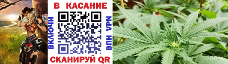 Где купить Макаров Бошки Шишки Бутират Cocaine ГАШИШ Меф KRAKEN вход Амфетамин