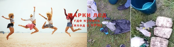шишки Беломорск