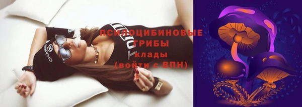 шишки Беломорск