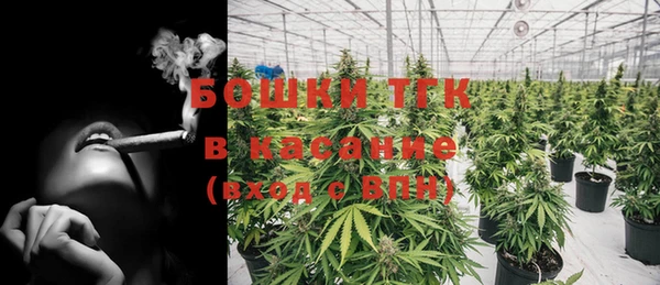 шишки Беломорск