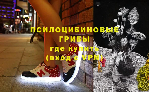 шишки Беломорск