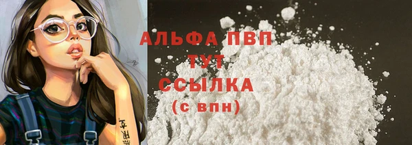шишки Беломорск